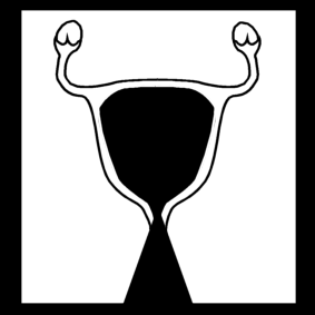 utérus